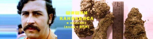 ПСИЛОЦИБИНОВЫЕ ГРИБЫ Навашино