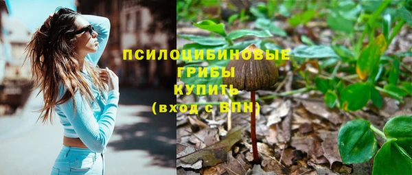 ПСИЛОЦИБИНОВЫЕ ГРИБЫ Навашино