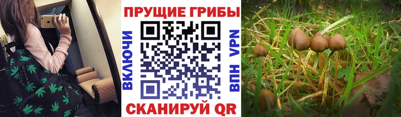 Псилоцибиновые грибы ЛСД  магазин продажи наркотиков  Североморск 