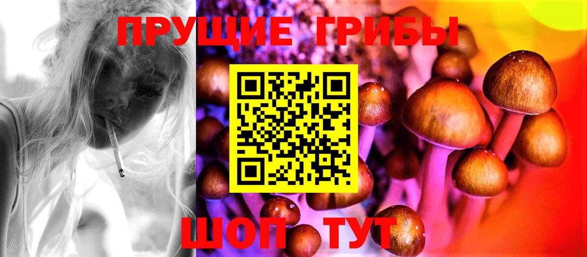 Североморск  Галлюциногенные грибы Cubensis  Вход с VPN 